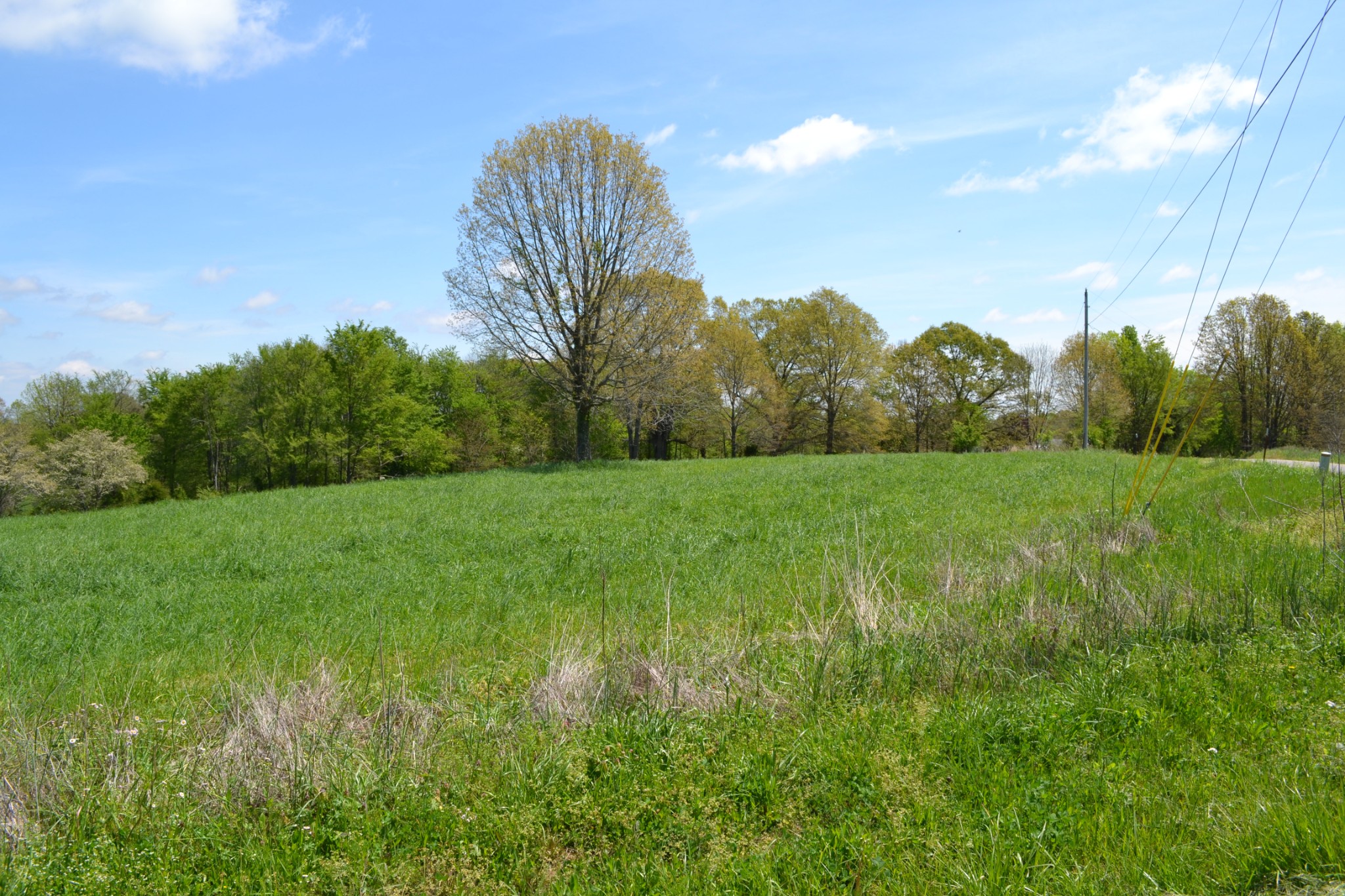 84 Lewis Atkins Road Woodlawn, TN 37191 - Photo 6 of 31 Gallery Image 6