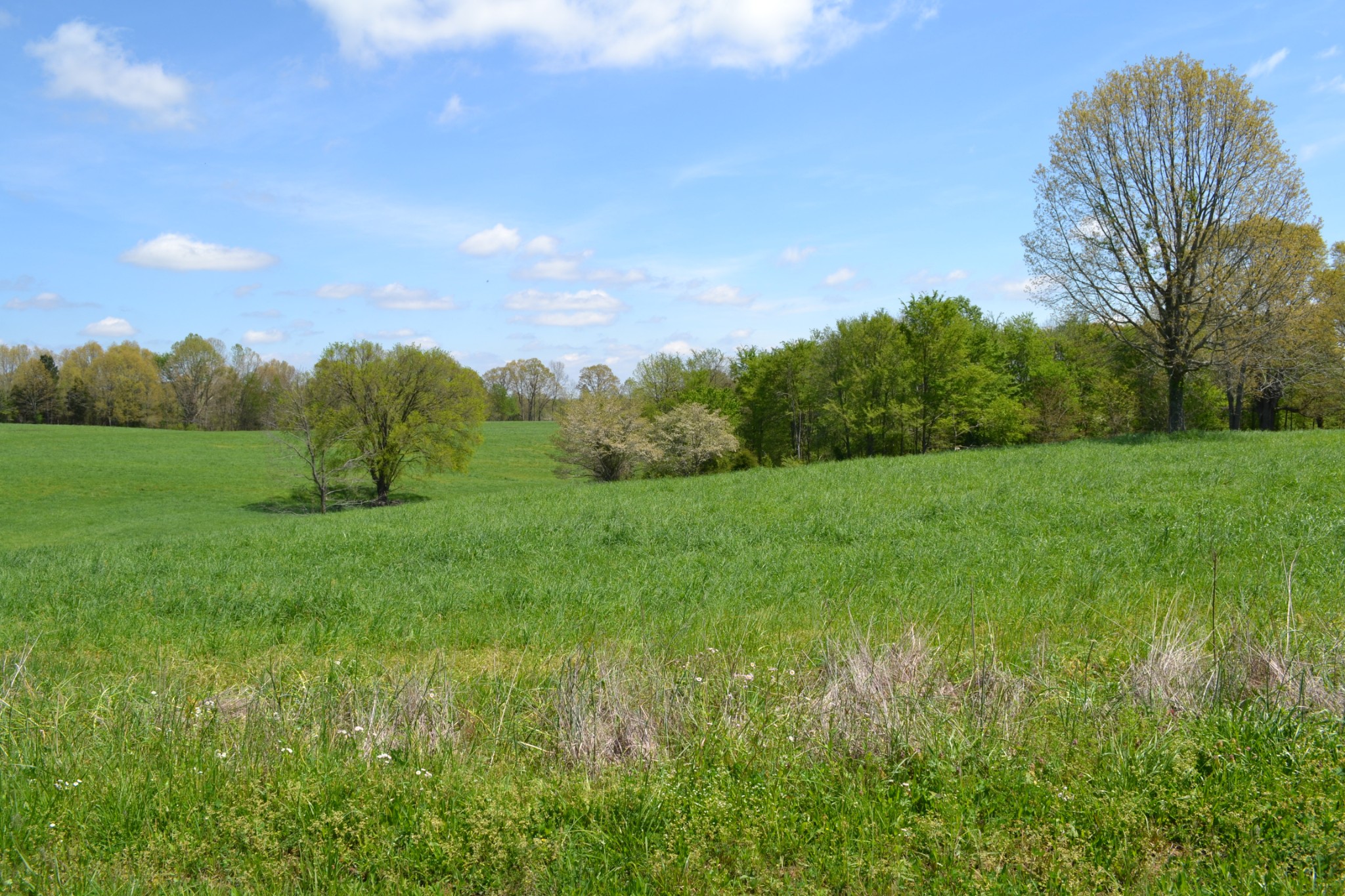 84 Lewis Atkins Road Woodlawn, TN 37191 - Photo 7 of 31 Gallery Image 7