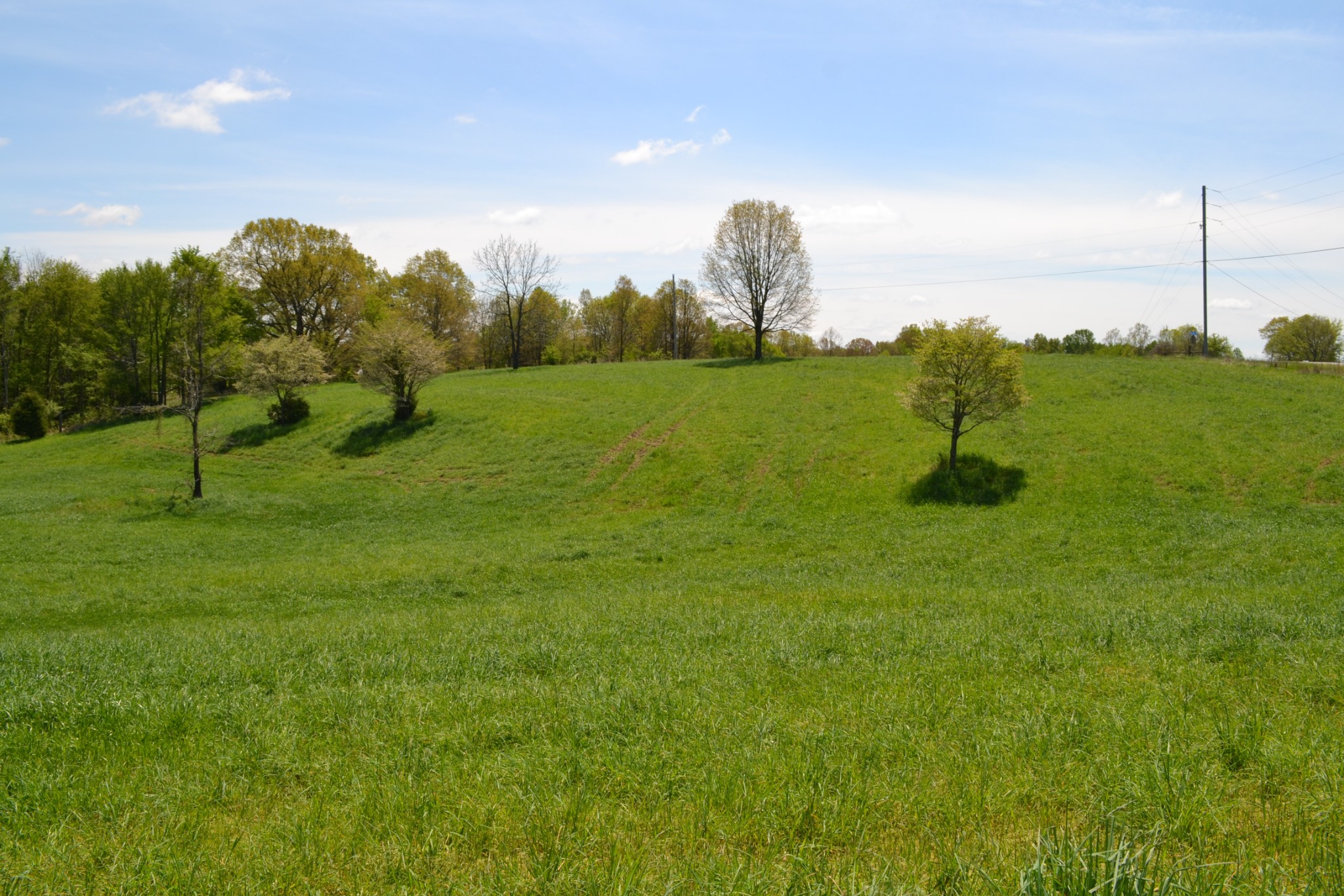 84 Lewis Atkins Road Woodlawn, TN 37191 - Photo 9 of 31 Gallery Image 9