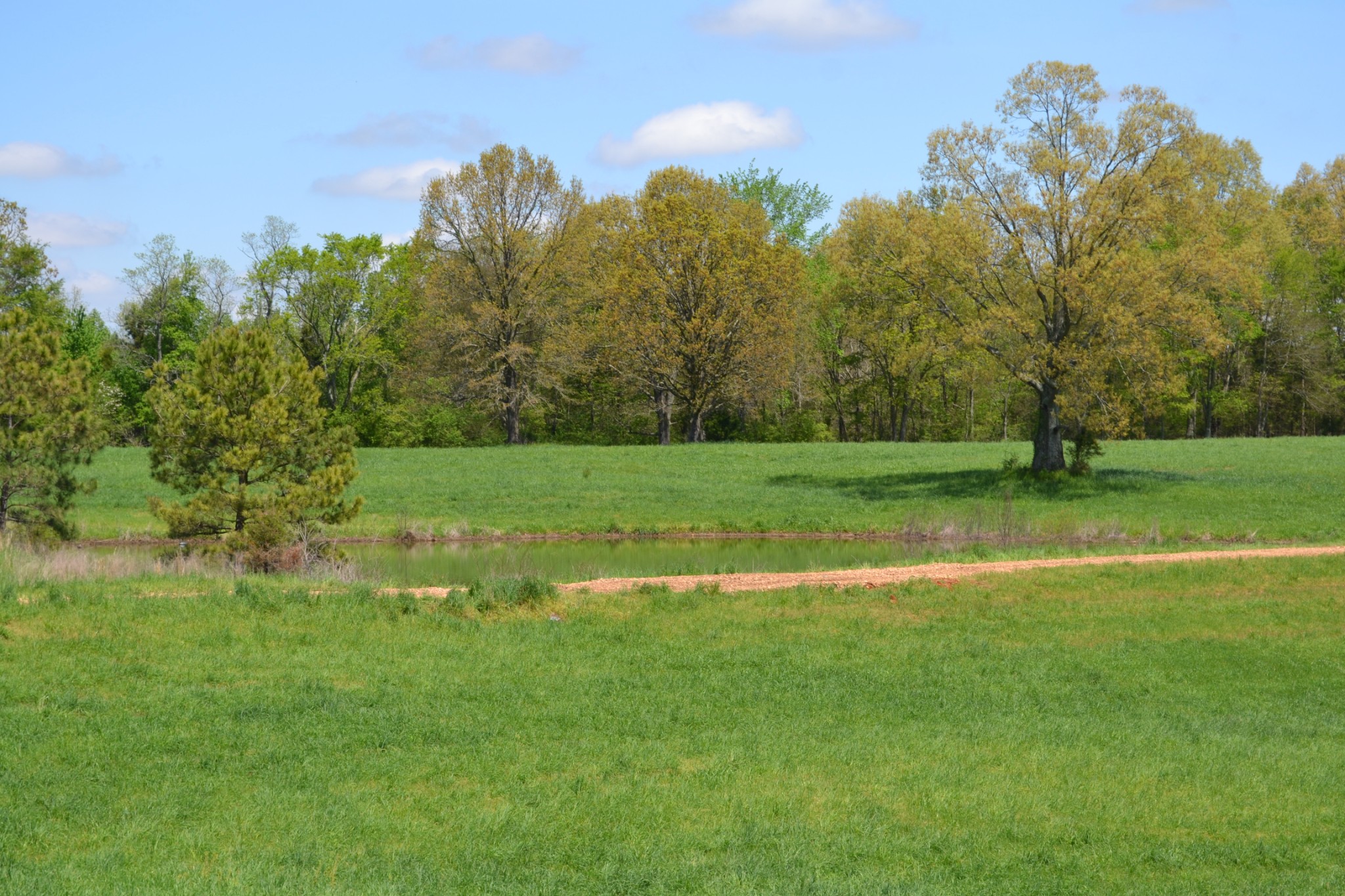 84 Lewis Atkins Road Woodlawn, TN 37191 - Photo 10 of 31 Gallery Image 10