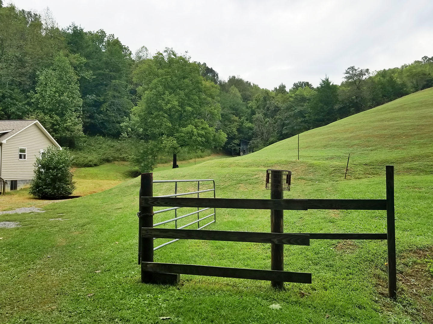 400 Vinson Hollow Road Bybee, TN 37713 - Photo 2 of 9 2