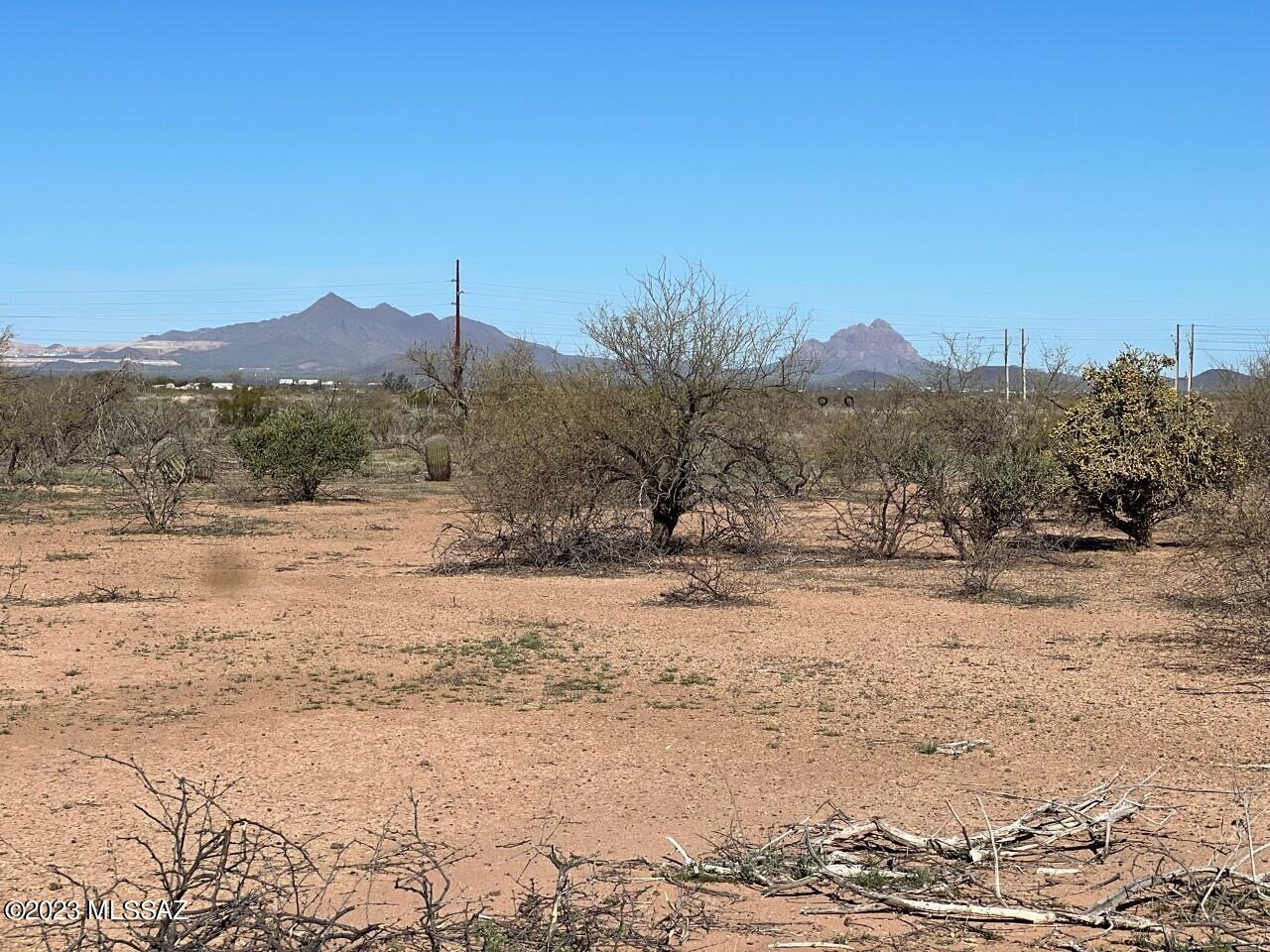 Tbd Tbd Cherry Blossom Road Marana, AZ 85653 - Photo 5 of 9 Scrub Brush 5