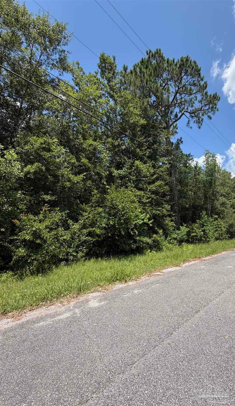 0 Patterson Road Milton, FL 32570 - Photo 5 of 8