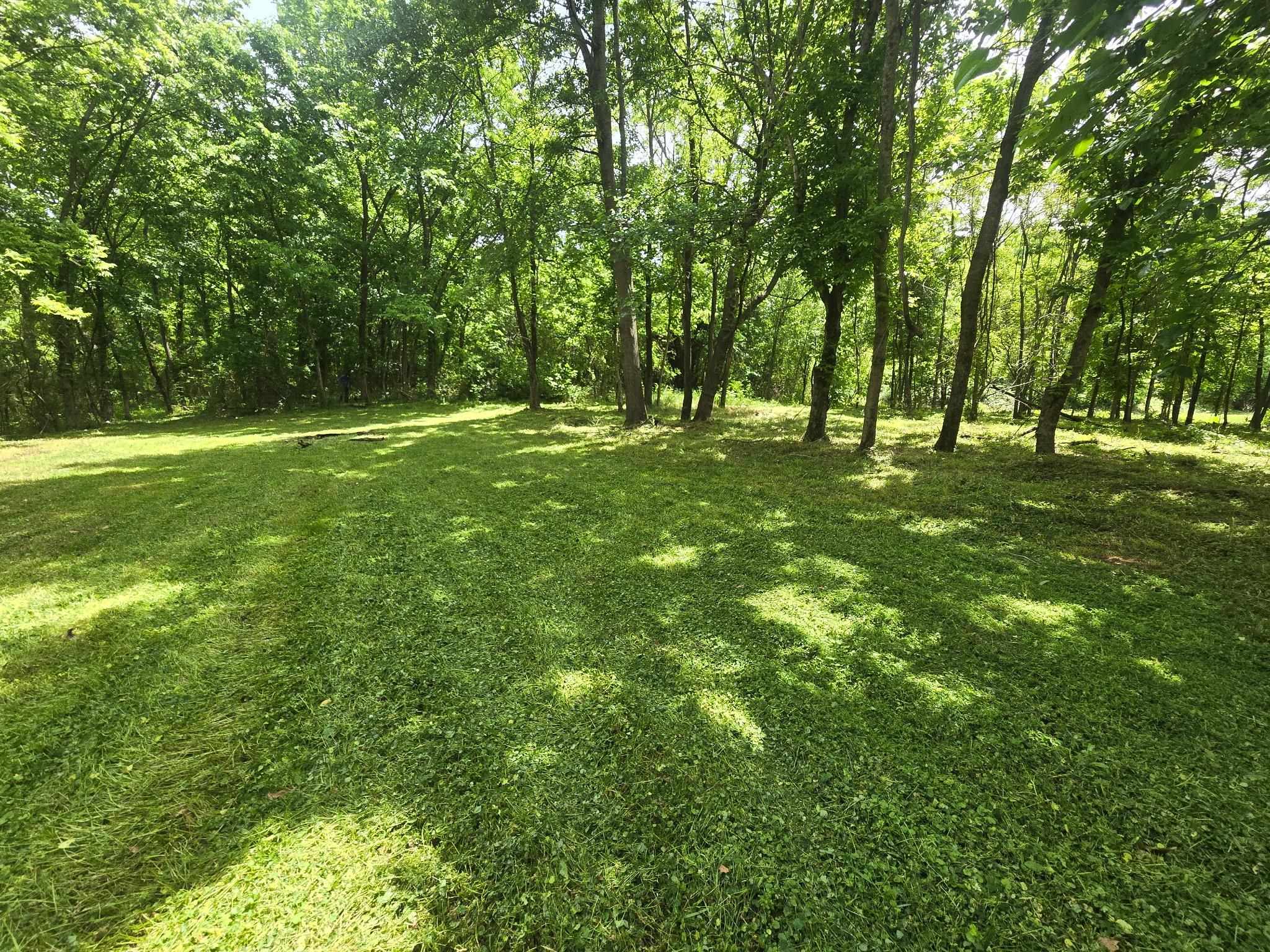 5110 Hillbrook Road Memphis, TN 38109 - Photo 3 of 4