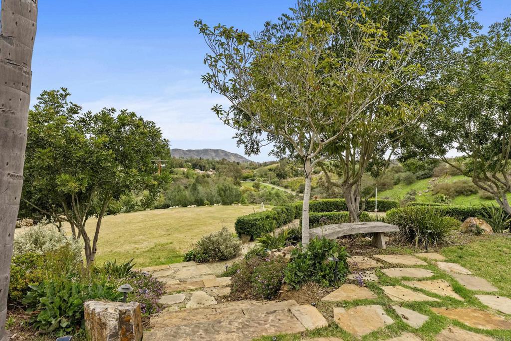 a view of a yard with plants and large trees