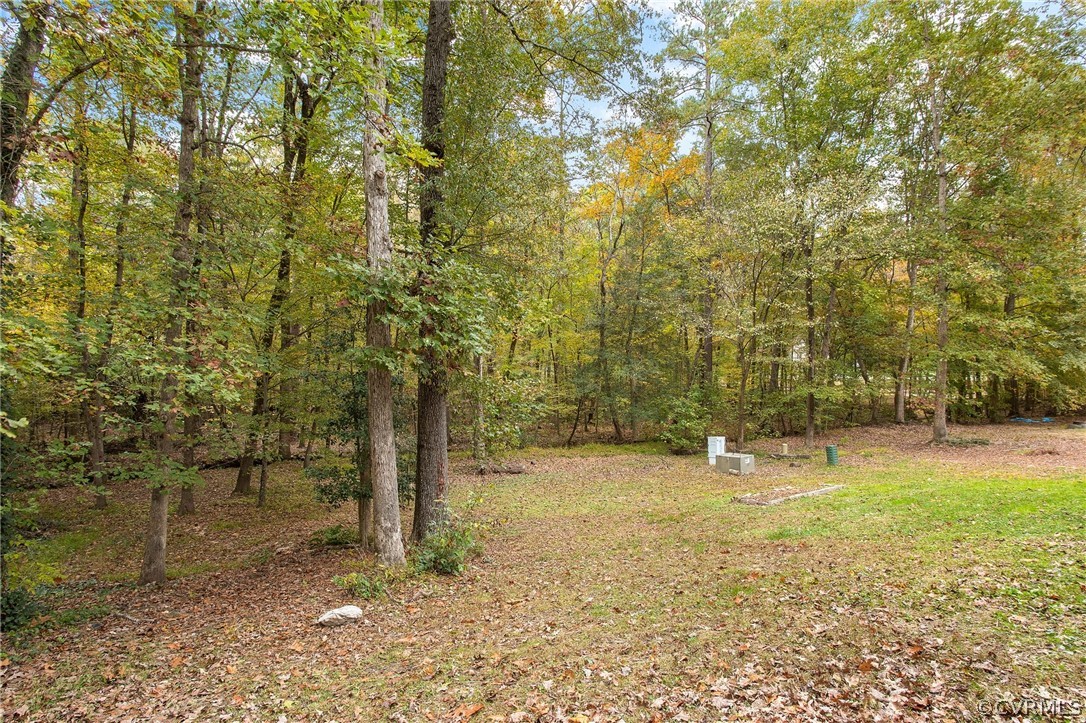 4812 Cedar Cliff Road Chester, VA 23831 - Photo 33 of 36 Backyard