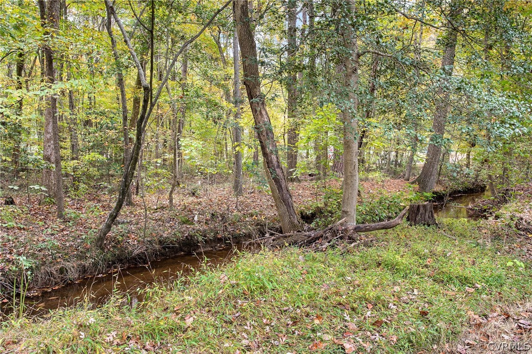 4812 Cedar Cliff Road Chester, VA 23831 - Photo 35 of 36 Creek