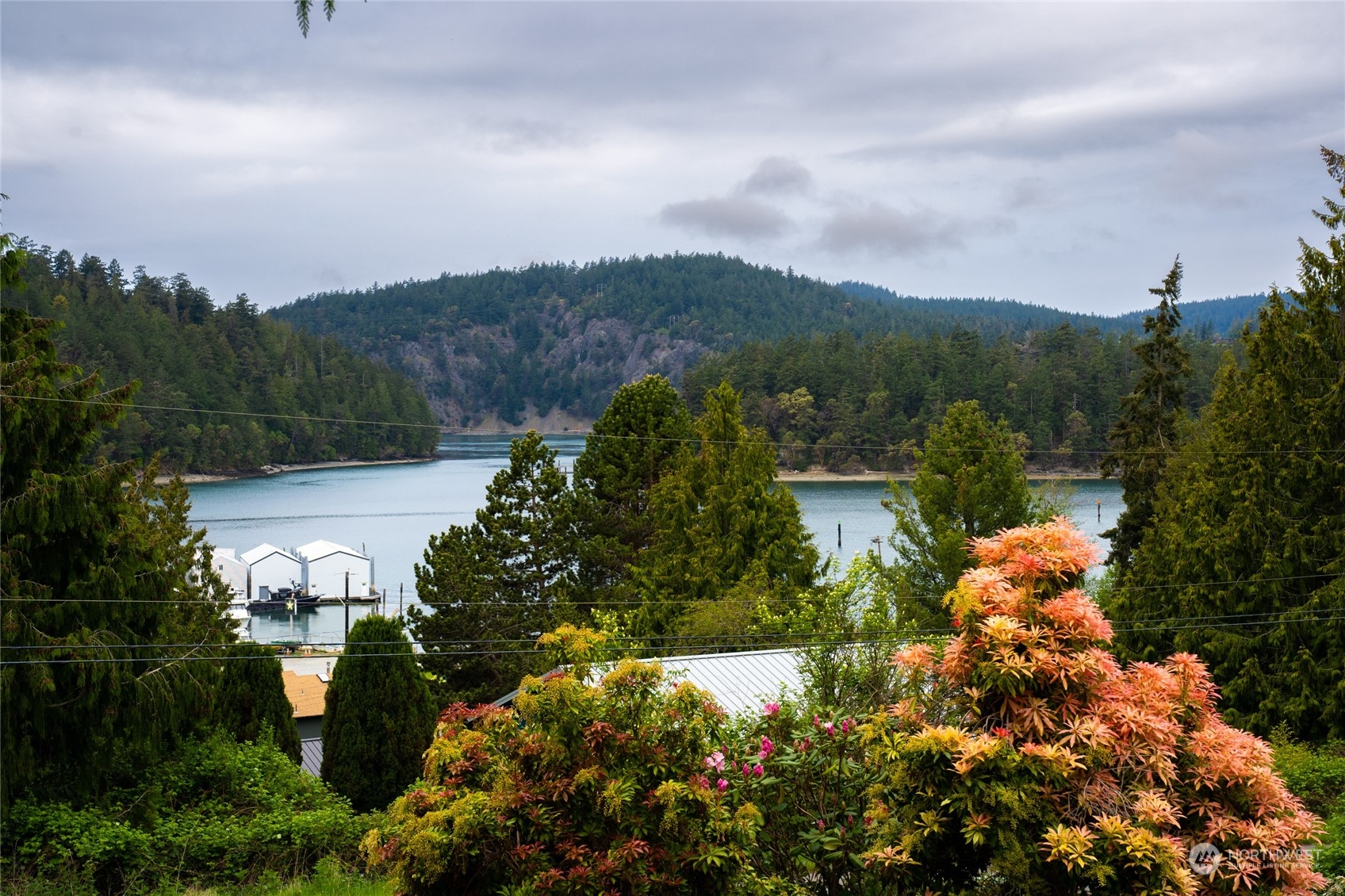 176 Canyon Road Oak Harbor, WA 98277 - Photo 2 of 38 Gallery Image 2