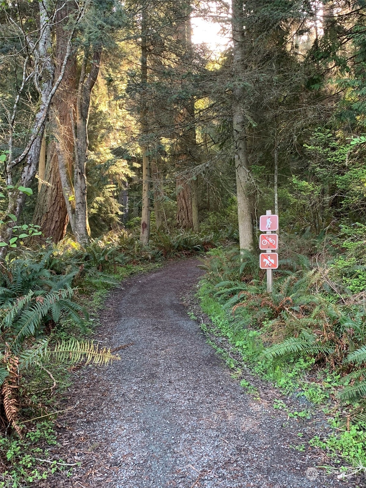 176 Canyon Road Oak Harbor, WA 98277 - Photo 38 of 38 Gallery Image 38