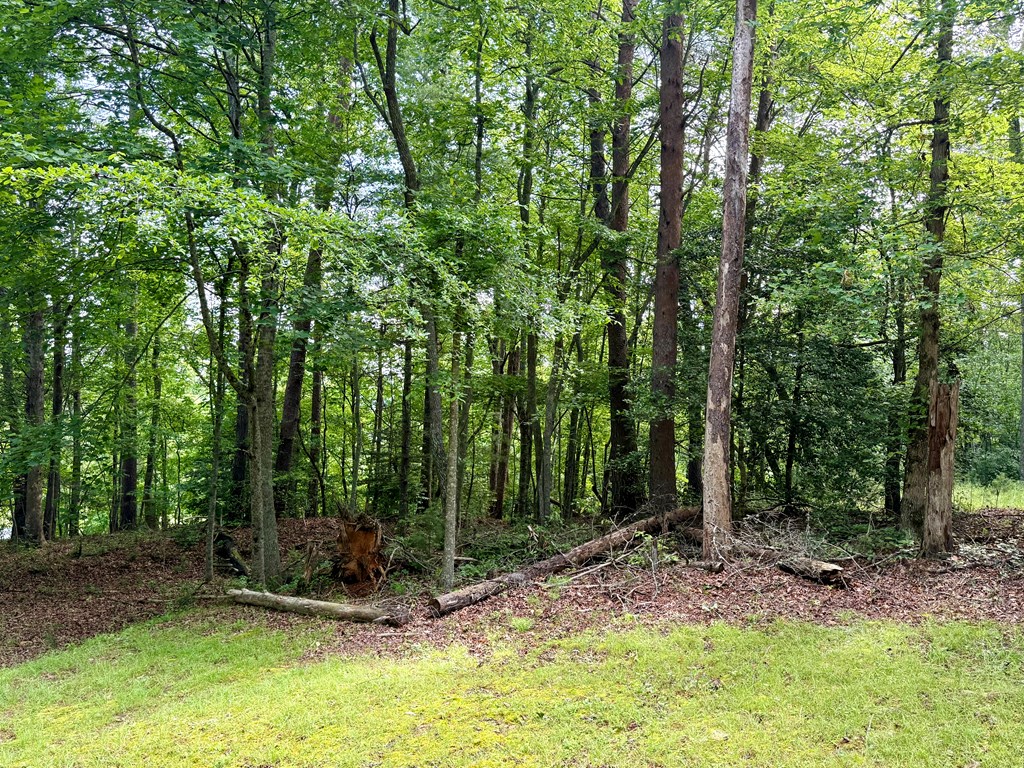 821 Loving Road Morganton, GA 30560 - Photo 17 of 20 Gallery Image 17