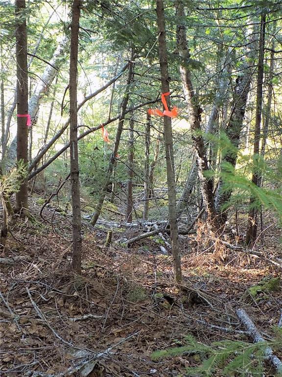 Lot 80 Lyons Road Lubec, ME 04652 - Photo 11 of 29 Photo