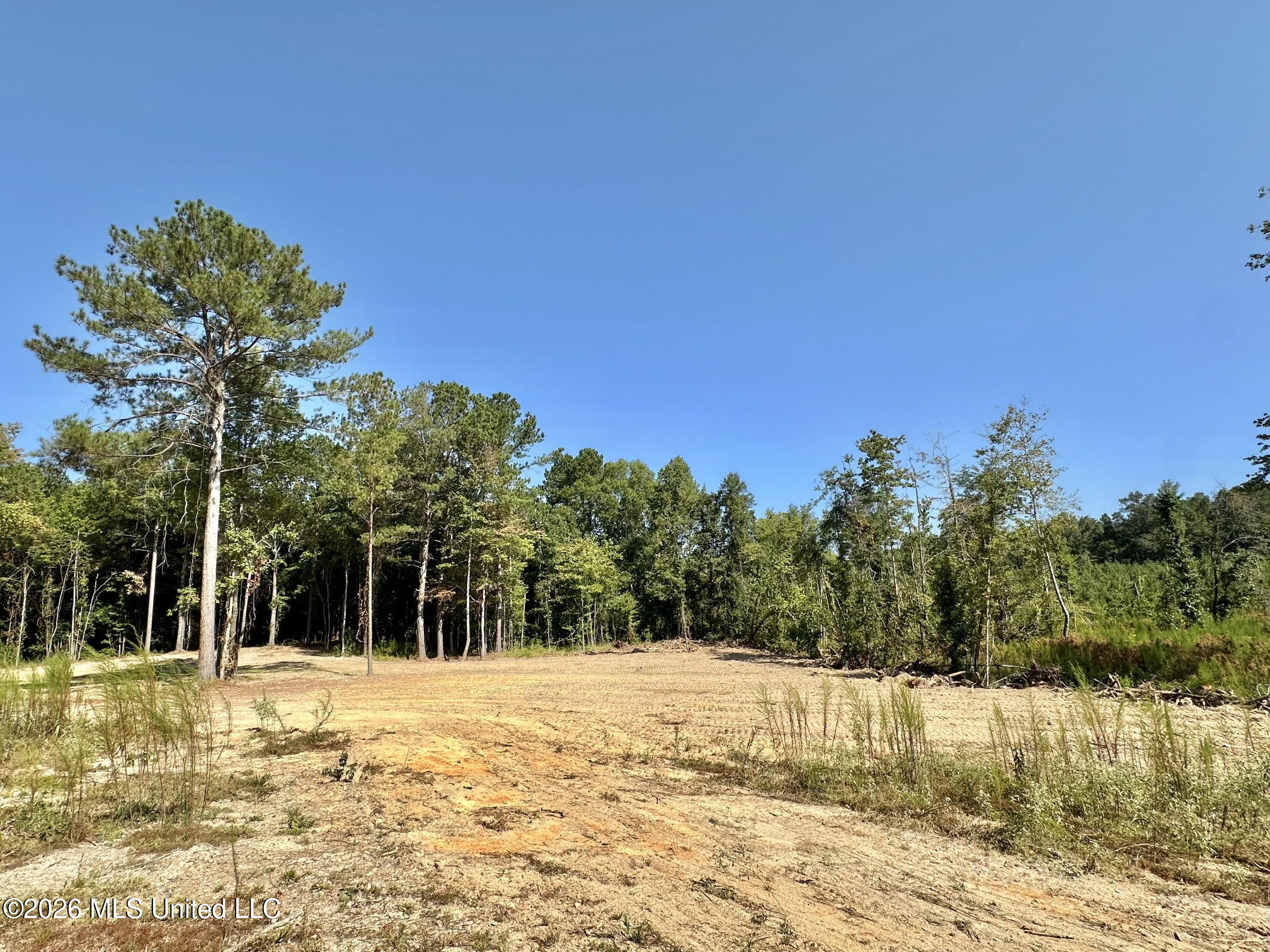 1 Highway 35 Carthage, MS 39051 - Photo 14 of 21 26