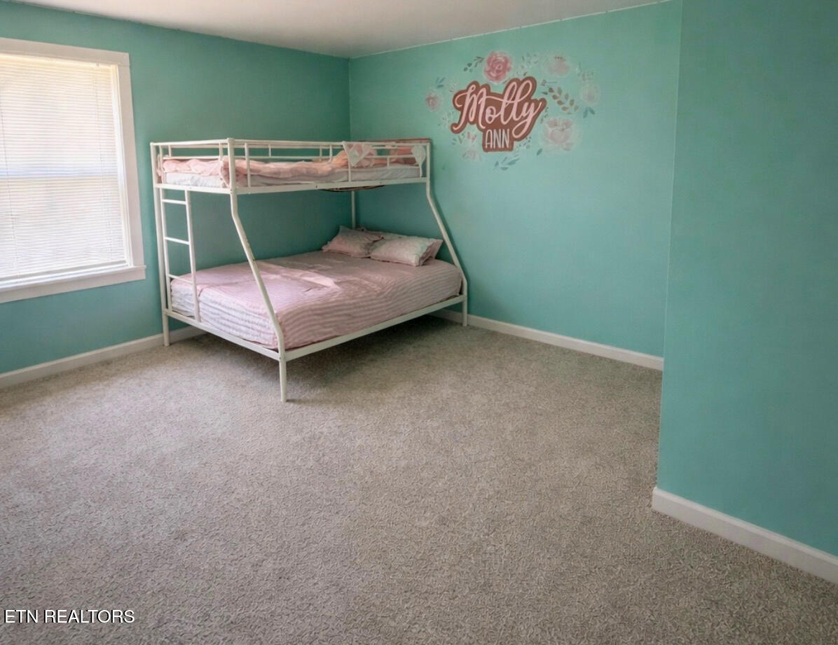 1160 Clifty Crk Road Winfield, TN 37892 - Photo 42 of 46 IMG_3168