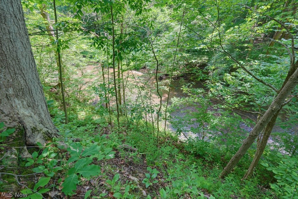 0 North Chillicothe Road Aurora, OH 44202 - Photo 15 of 36