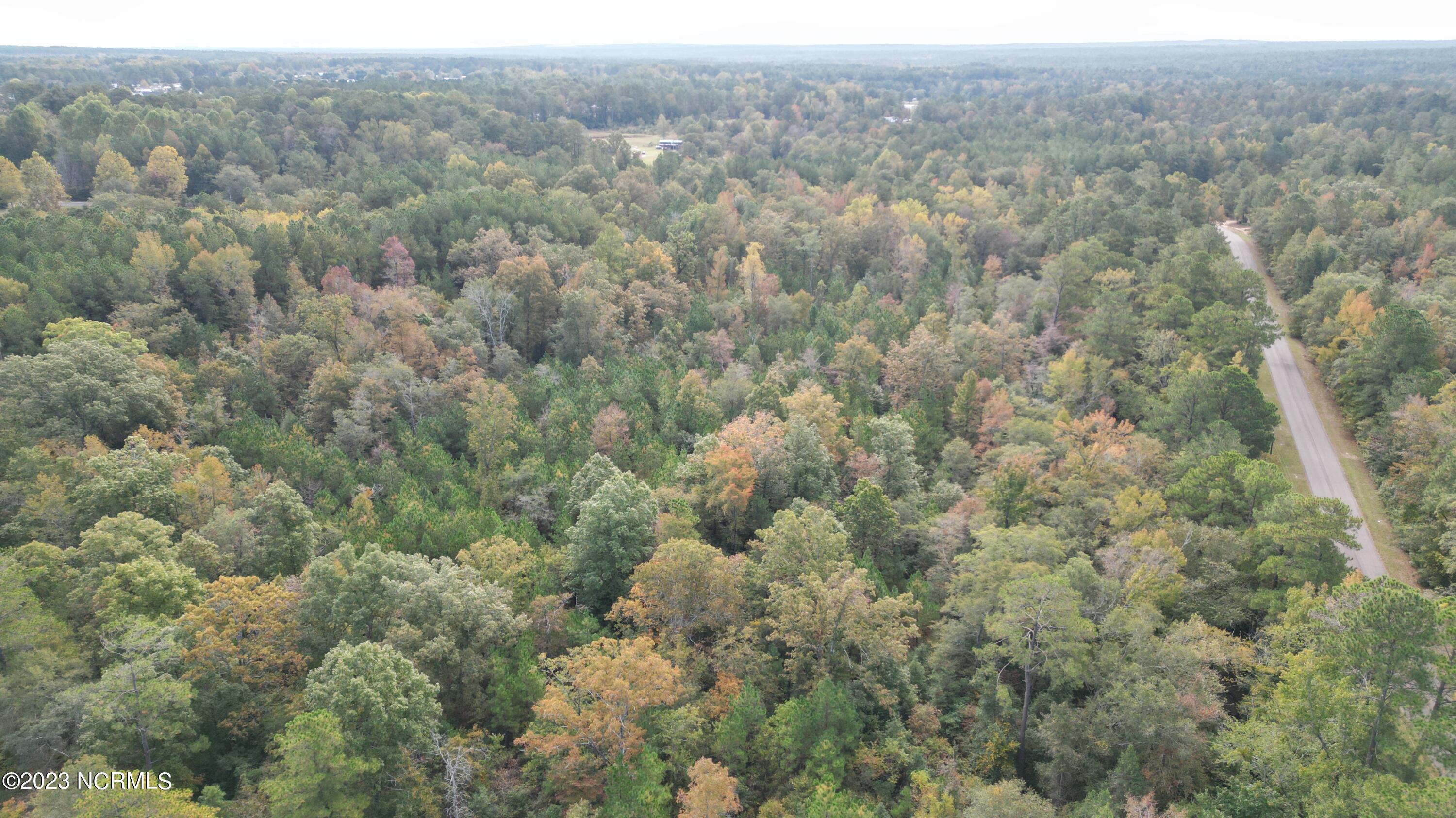 18.33-acre McPherson Road Vass, NC 28394 - Photo 25 of 39 DJI_0137