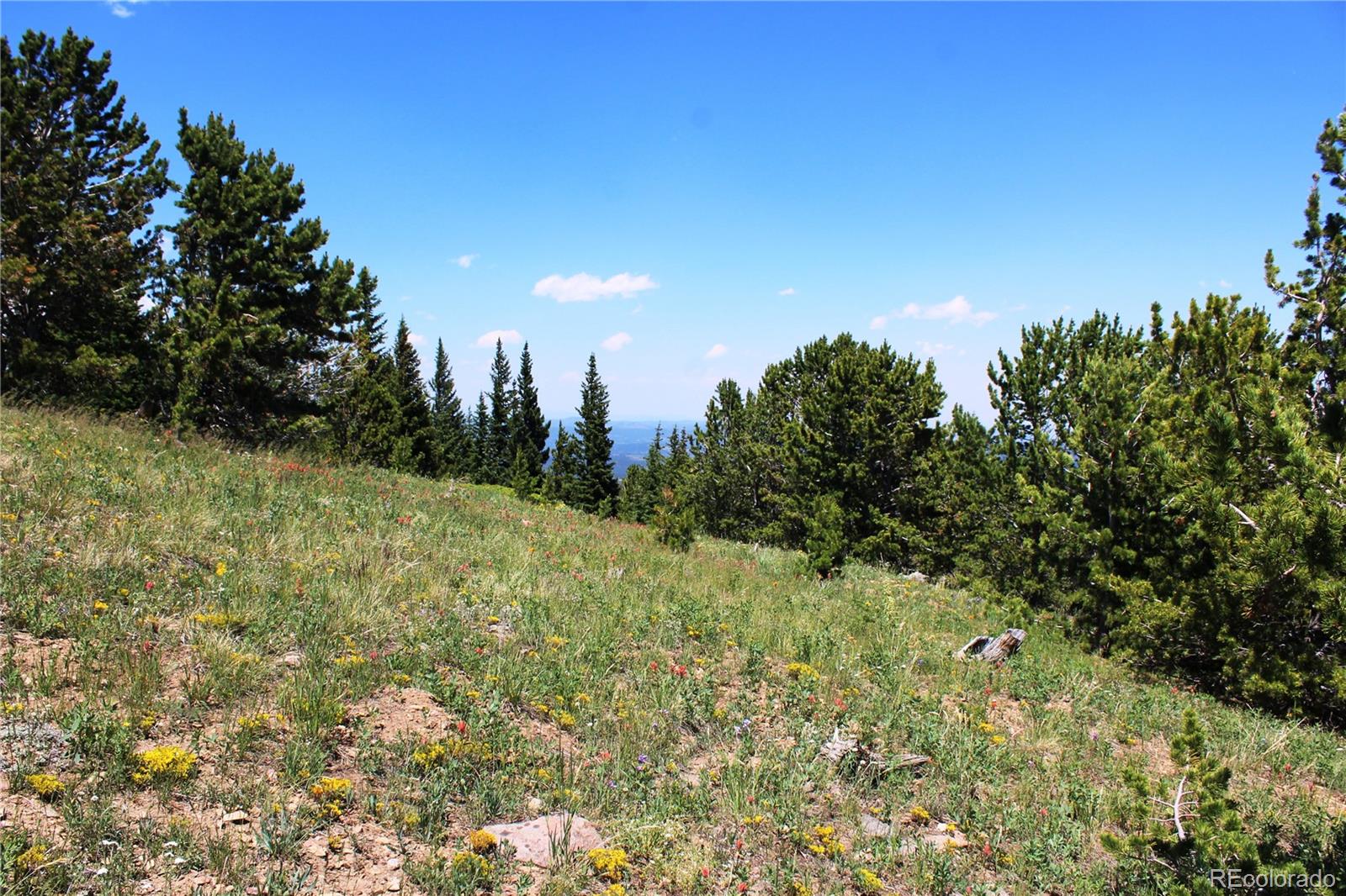 1595 Missouri Gulch Road Black Hawk, CO 80422 - Photo 20 of 49