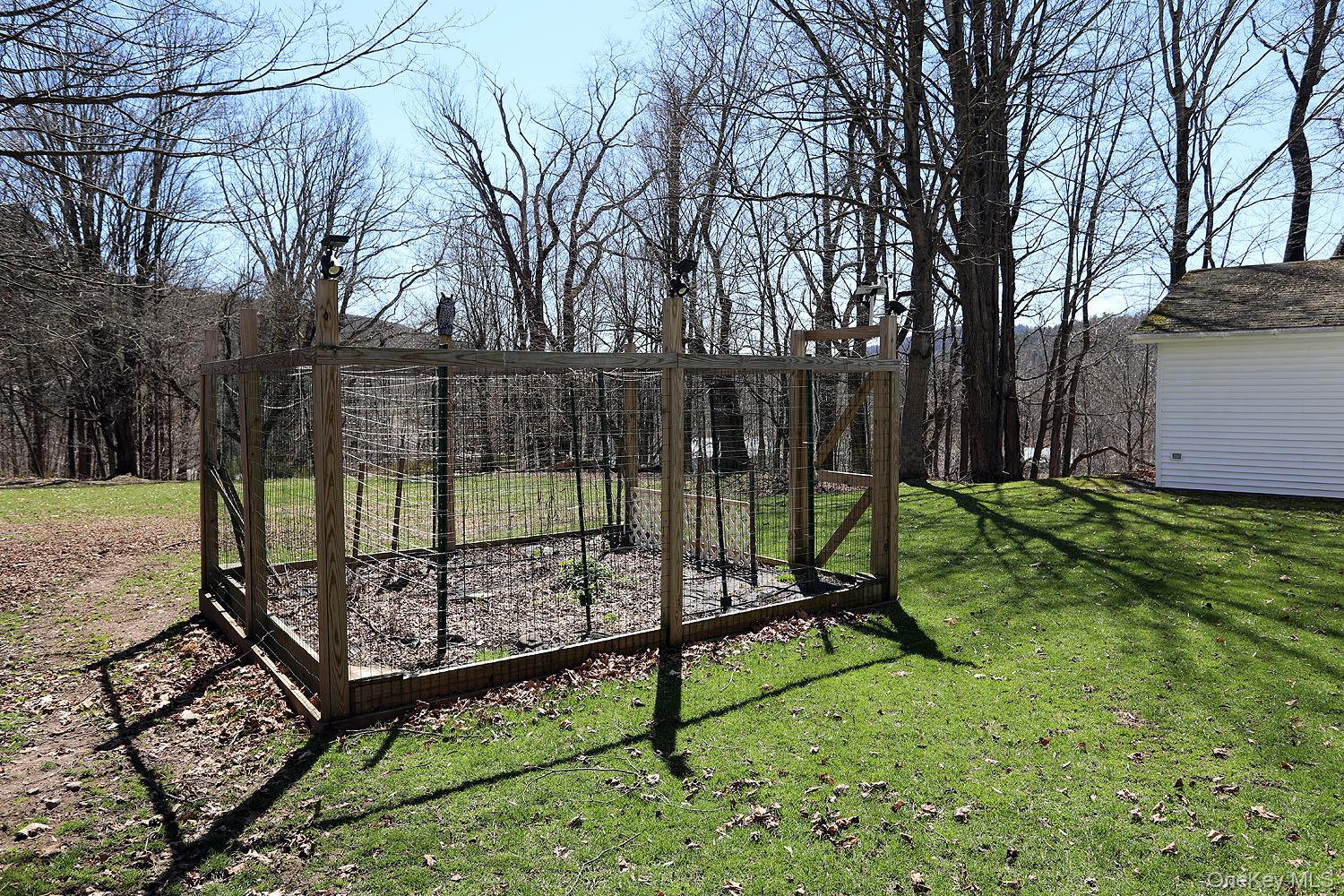 11 Highview Avenue Callicoon, NY 12723 - Photo 9 of 49 Garden