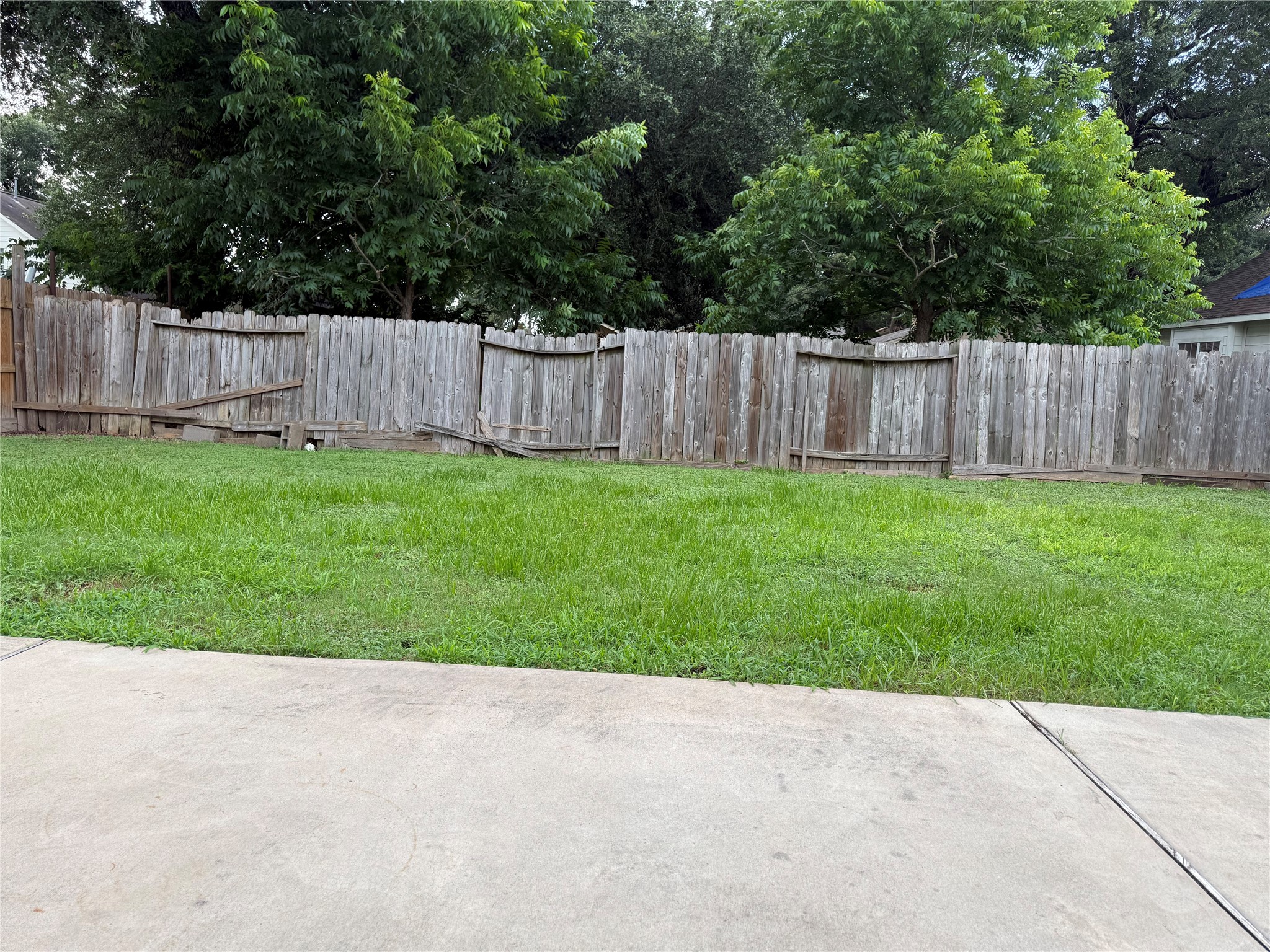 9429 Lambright Road Houston, TX 77075 - Photo 39 of 40 Backyard view from the kitchen backdoor.