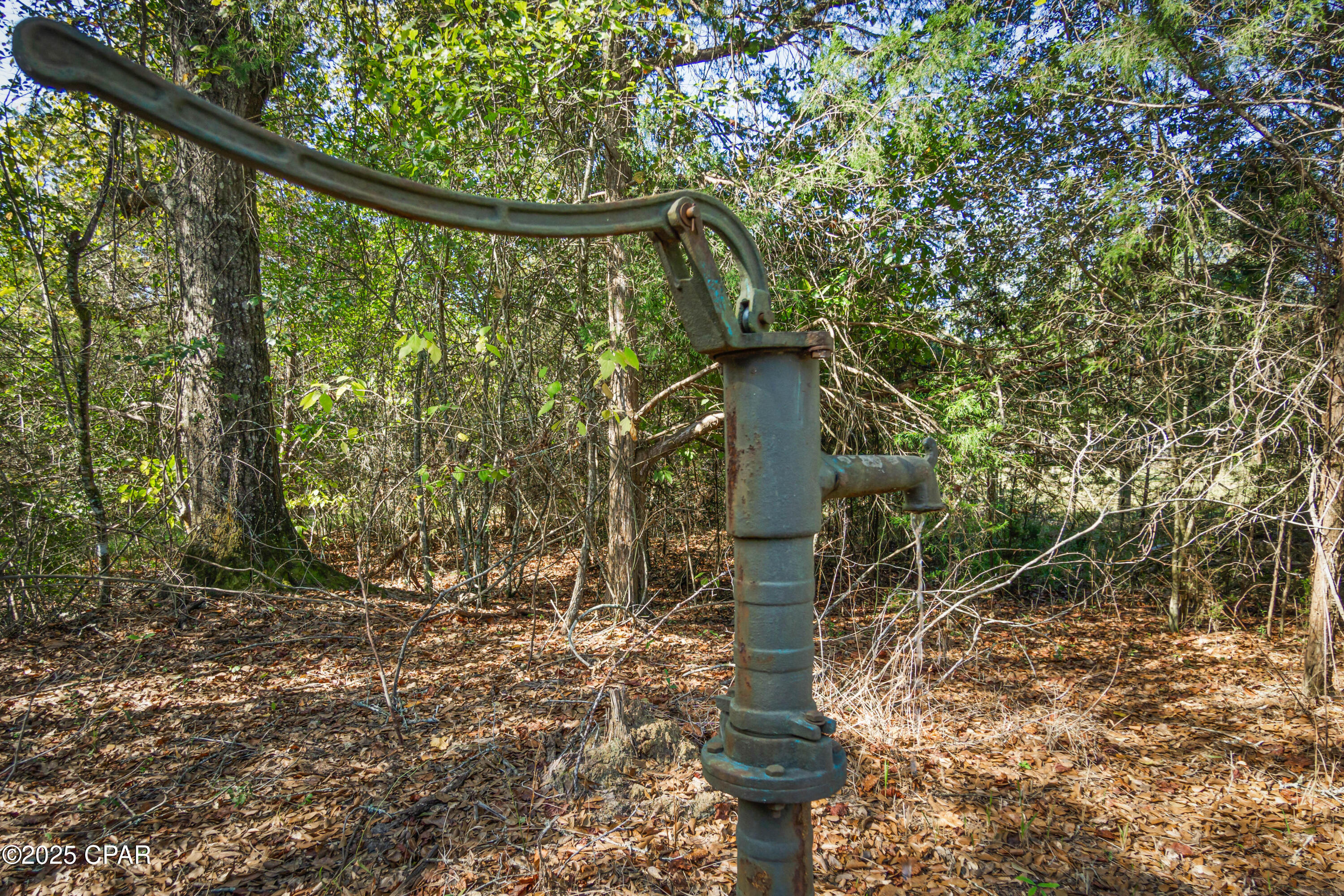 1612 Malcolm Taylor Road Bonifay, FL 32425 - Photo 29 of 49