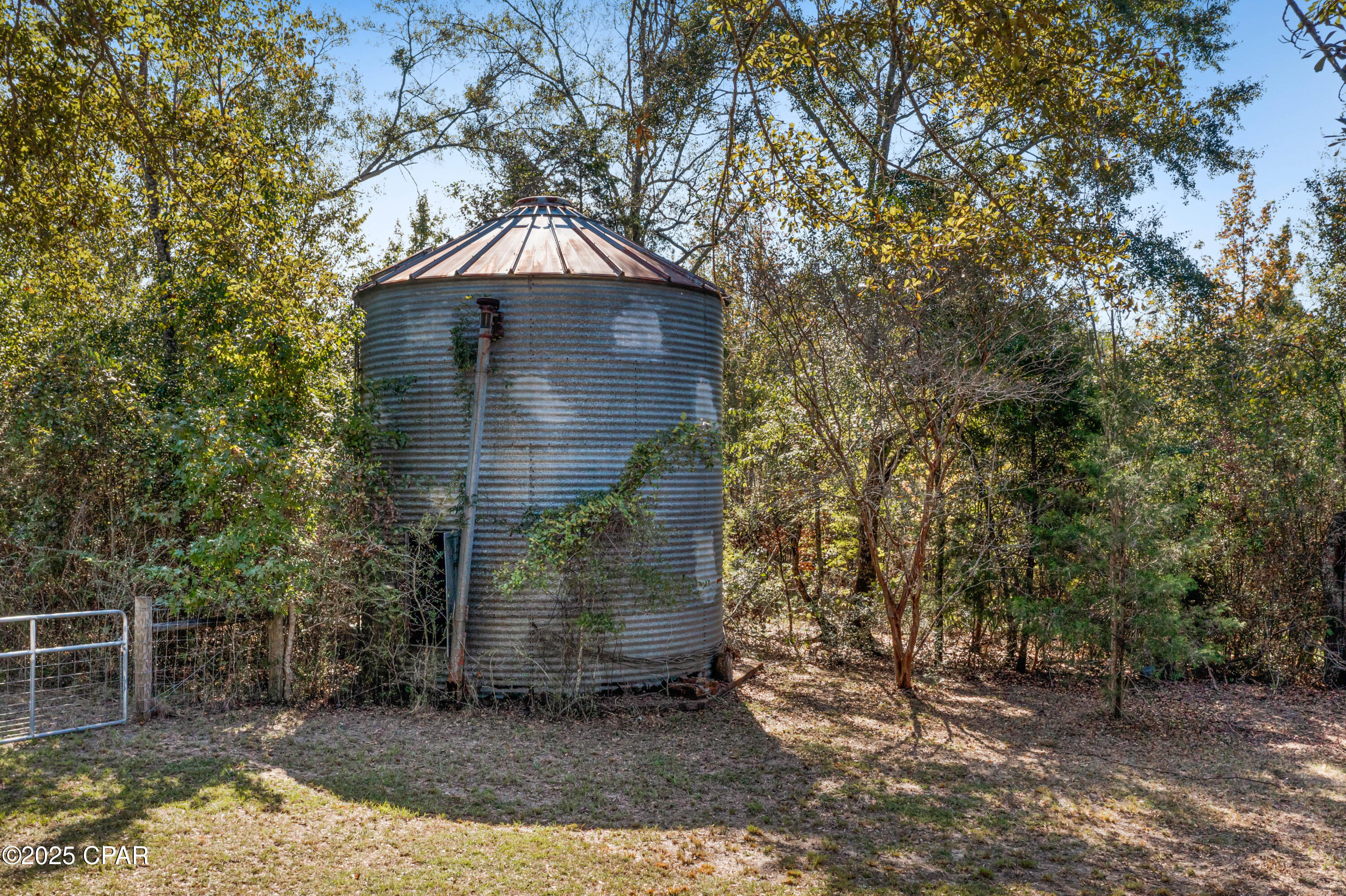 1612 Malcolm Taylor Road Bonifay, FL 32425 - Photo 32 of 49