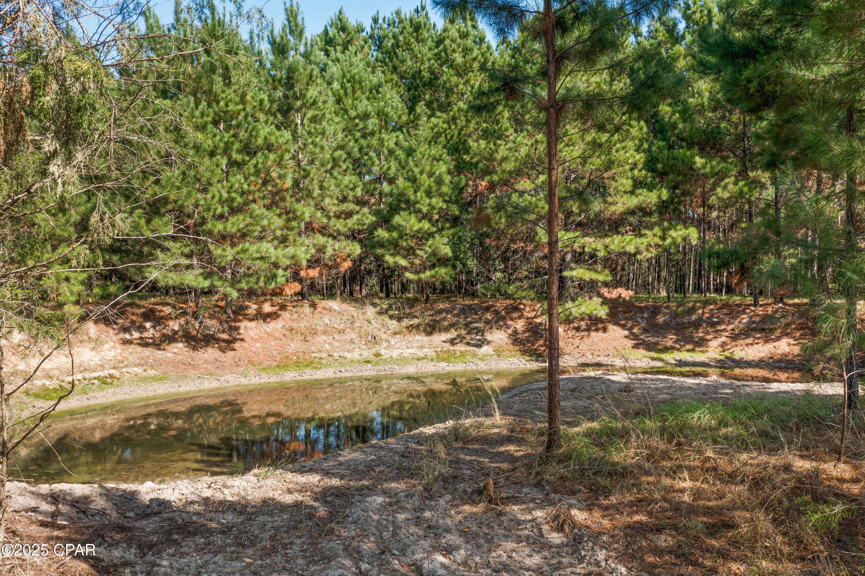 1612 Malcolm Taylor Road Bonifay, FL 32425 - Photo 40 of 49