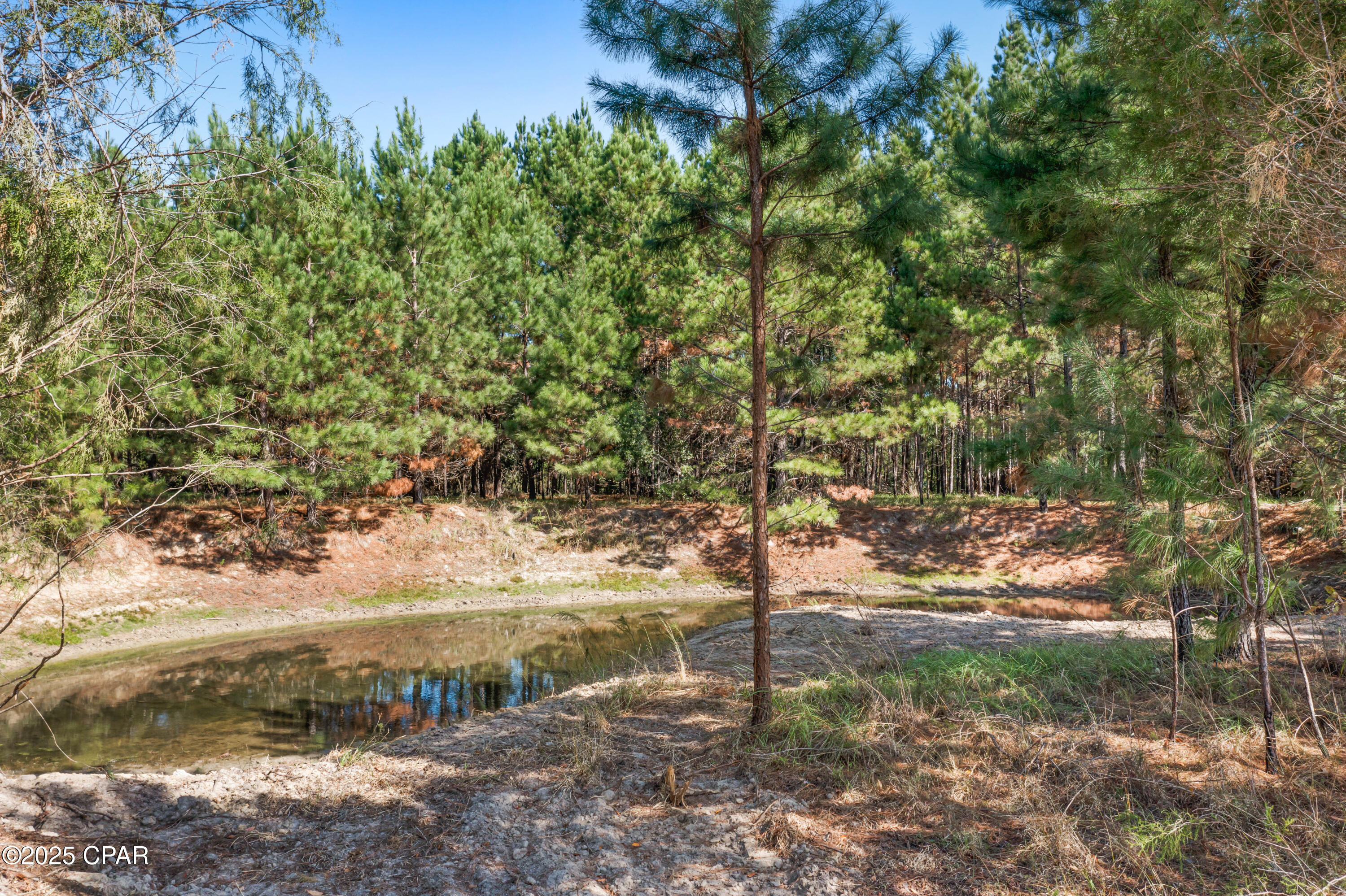 1612 Malcolm Taylor Road Bonifay, FL 32425 - Photo 41 of 49