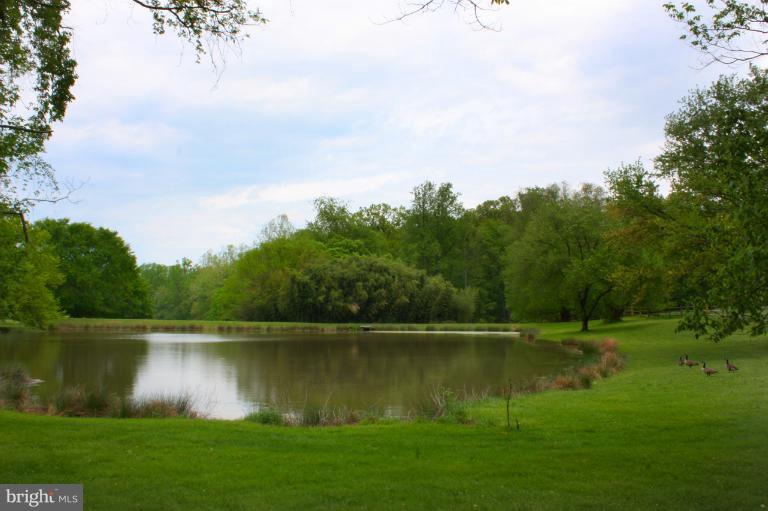 439 Springvale Road Great Falls, VA 22066 - Photo 3 of 13 Exterior (General)