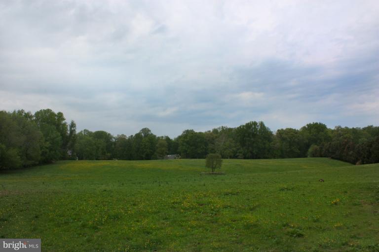 439 Springvale Road Great Falls, VA 22066 - Photo 4 of 13 Exterior (General)