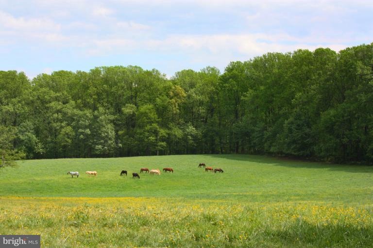 439 Springvale Road Great Falls, VA 22066 - Photo 5 of 13 Exterior (General)