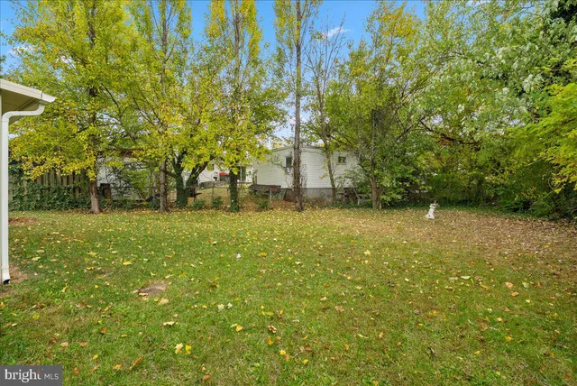 a view of outdoor space with deck area and trees
