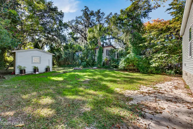 a backyard of a house with plants and large tree