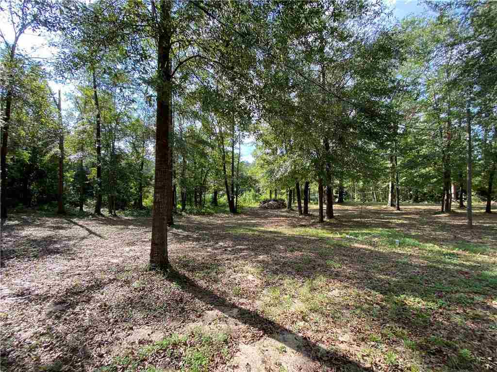 1031 Racetrack Road Bentley, LA 71407 - Photo 23 of 27 Gallery Image 23