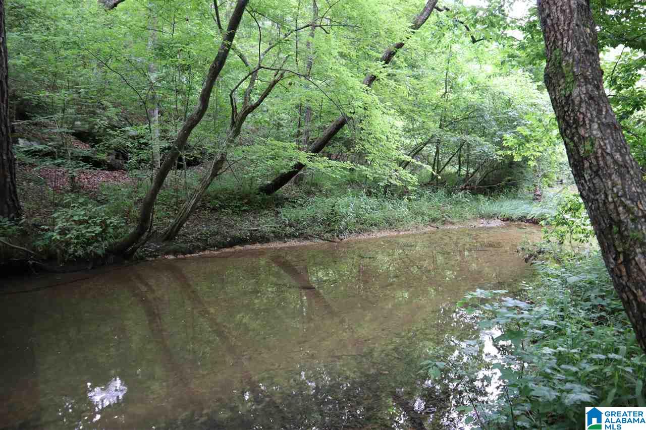 0 County Road 61, Unit 366 92 ACRES Fruithurst, AL 36262 - Photo 1 of 26