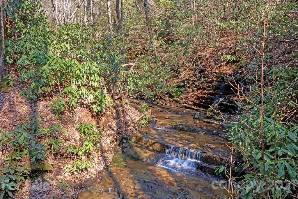 65 Young Miller Road Brevard, NC 28712 - Photo 4 of 45 Gallery Image 4
