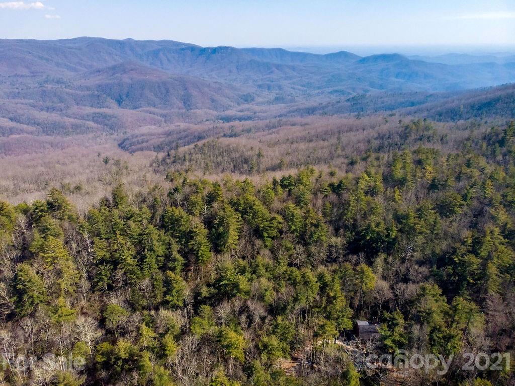 65 Young Miller Road Brevard, NC 28712 - Photo 38 of 45 Gallery Image 38