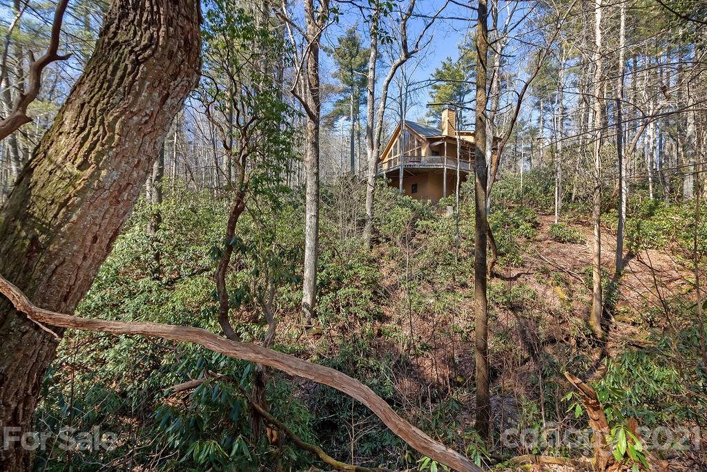 65 Young Miller Road Brevard, NC 28712 - Photo 5 of 45 Gallery Image 5