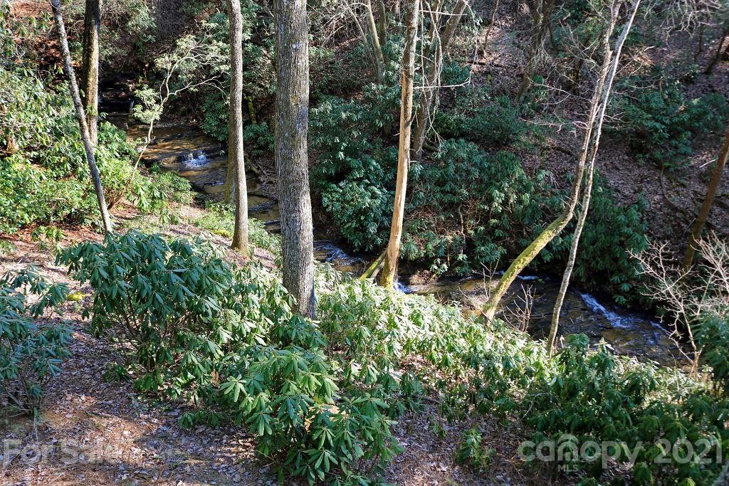 65 Young Miller Road Brevard, NC 28712 - Photo 45 of 45 Gallery Image 45