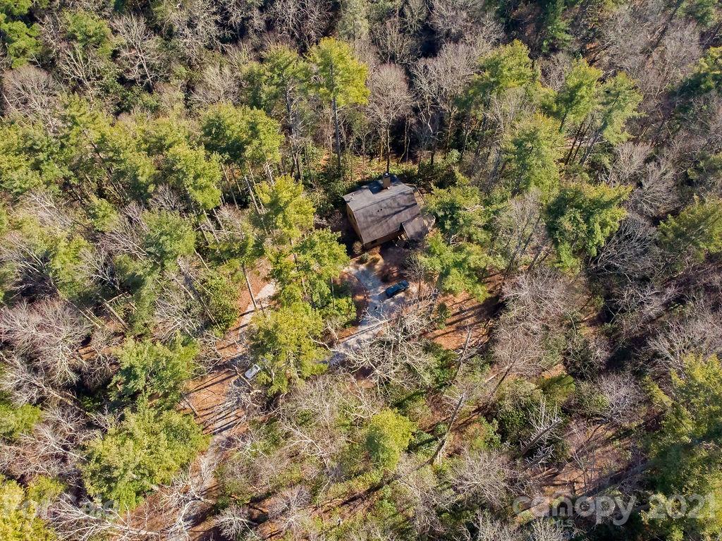65 Young Miller Road Brevard, NC 28712 - Photo 9 of 45 Gallery Image 9