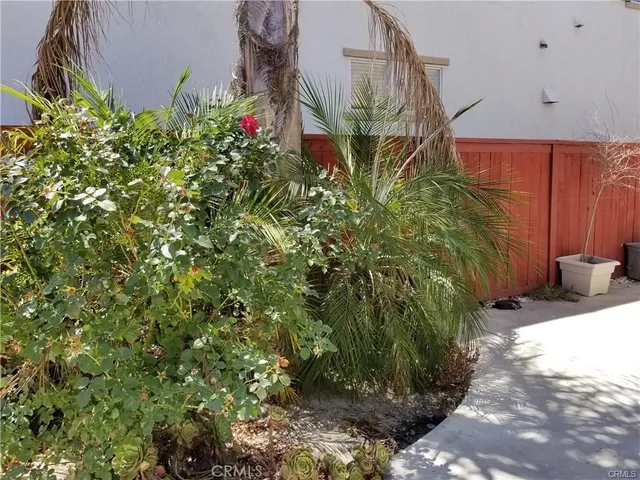 a view of a garden with plants