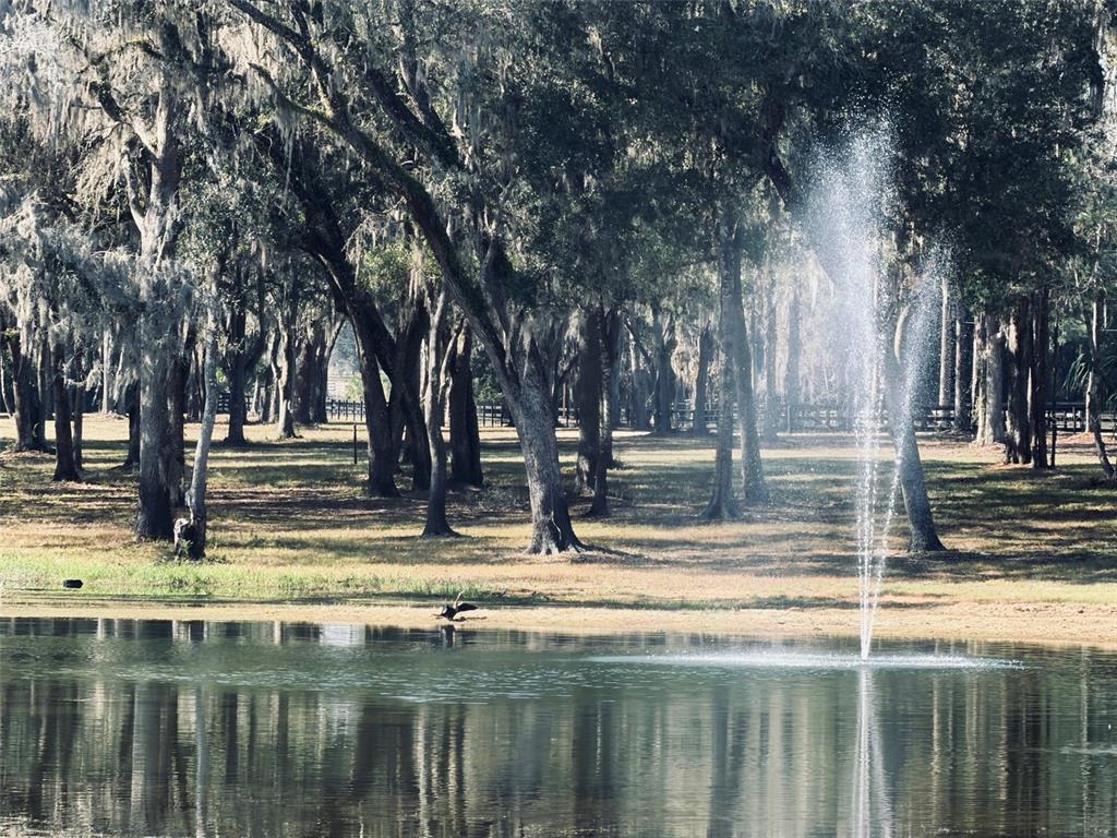 Tbd Northwest 160th Street Reddick, FL 32686 - Photo 3 of 12