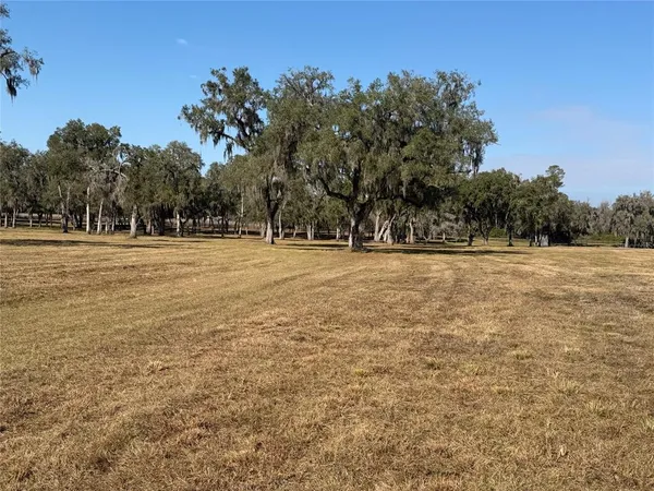 $1,241,000 | Tbd Northwest 160th Street, Reddick, FL 32686