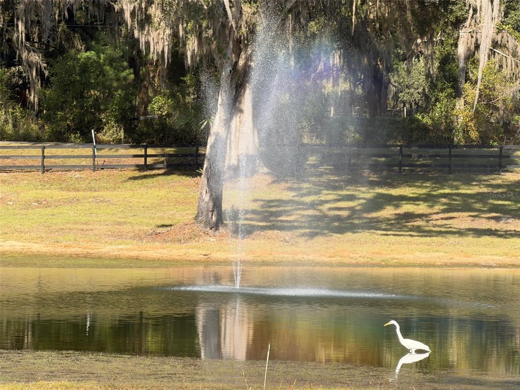 Tbd Northwest 160th Street Reddick, FL 32686 - Photo 6 of 12