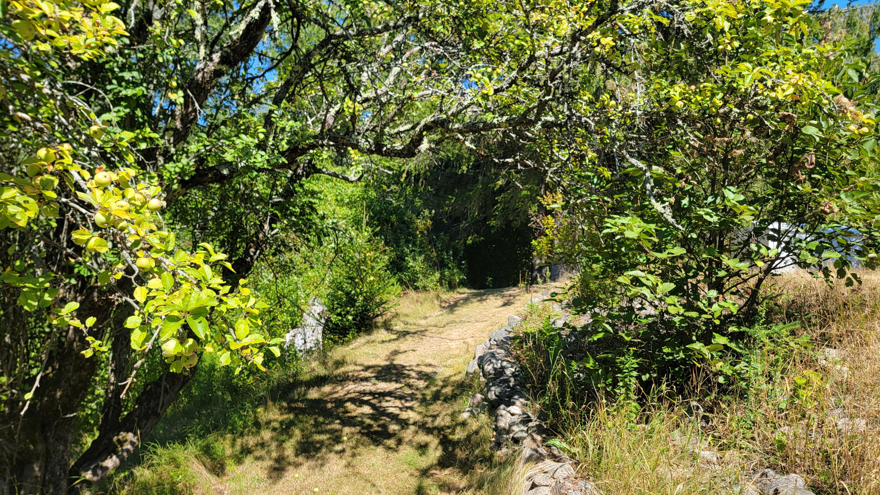 38 Bay Road Jonesboro, ME 04648 - Photo 35 of 40 20250821_142203