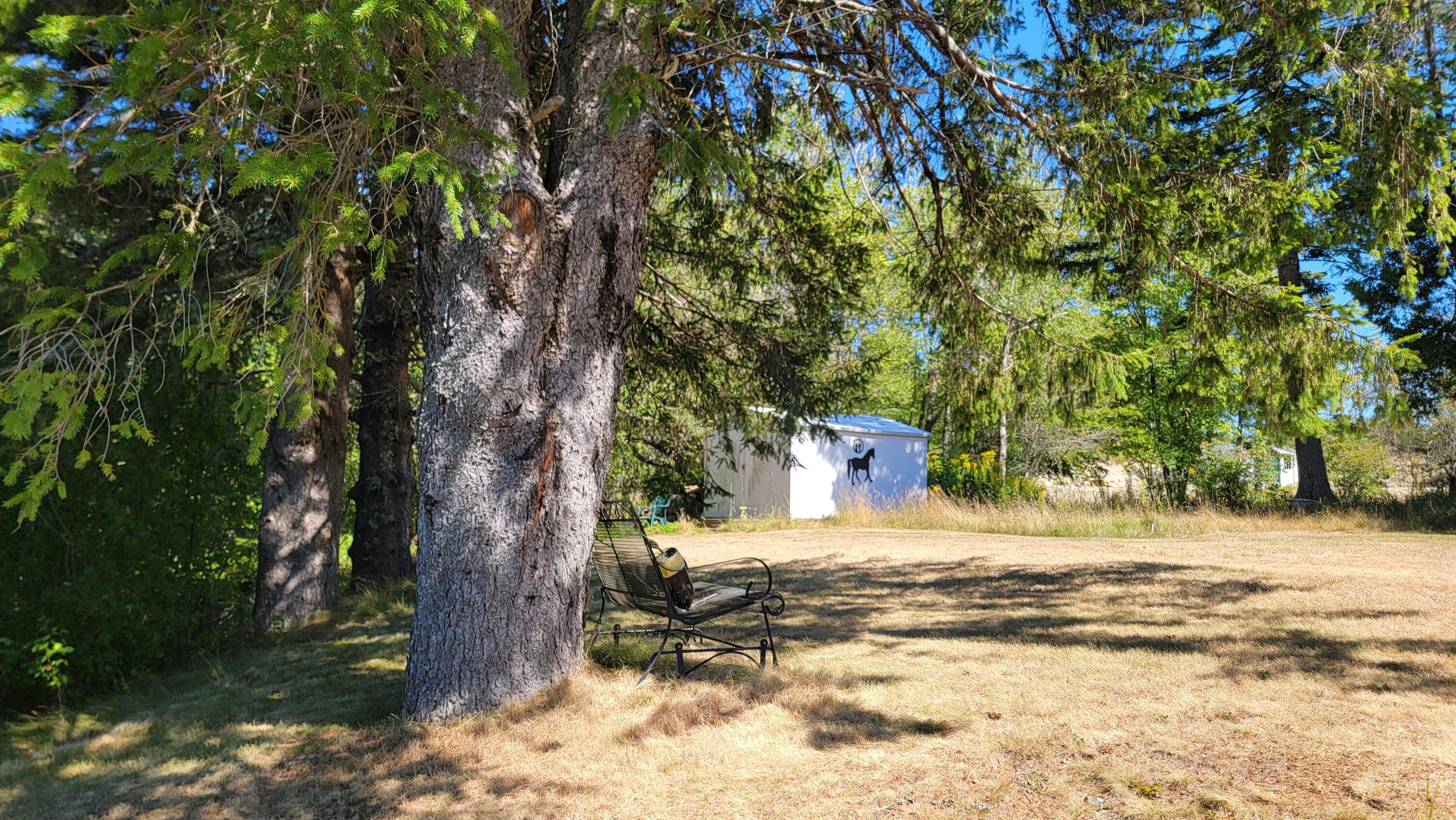 38 Bay Road Jonesboro, ME 04648 - Photo 36 of 40 20250821_142303