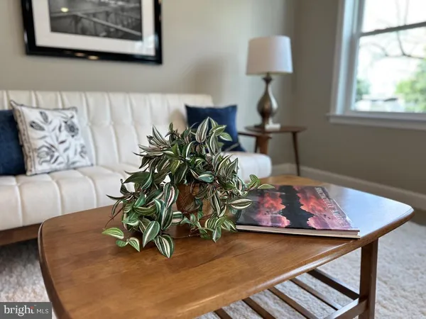 a living room with furniture and a potted plant