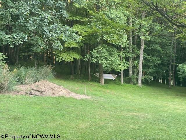 346 Nichols Road Bridgeport, WV 26330 - Photo 23 of 23 Gallery Image 23