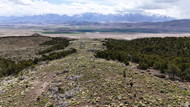 123 West Tbd Willow Spring Road Eureka, UT 84628 - Photo 6 of 60 Expansive natural landscape featuring varied terrain, including areas of dense tree cover and open scrubland