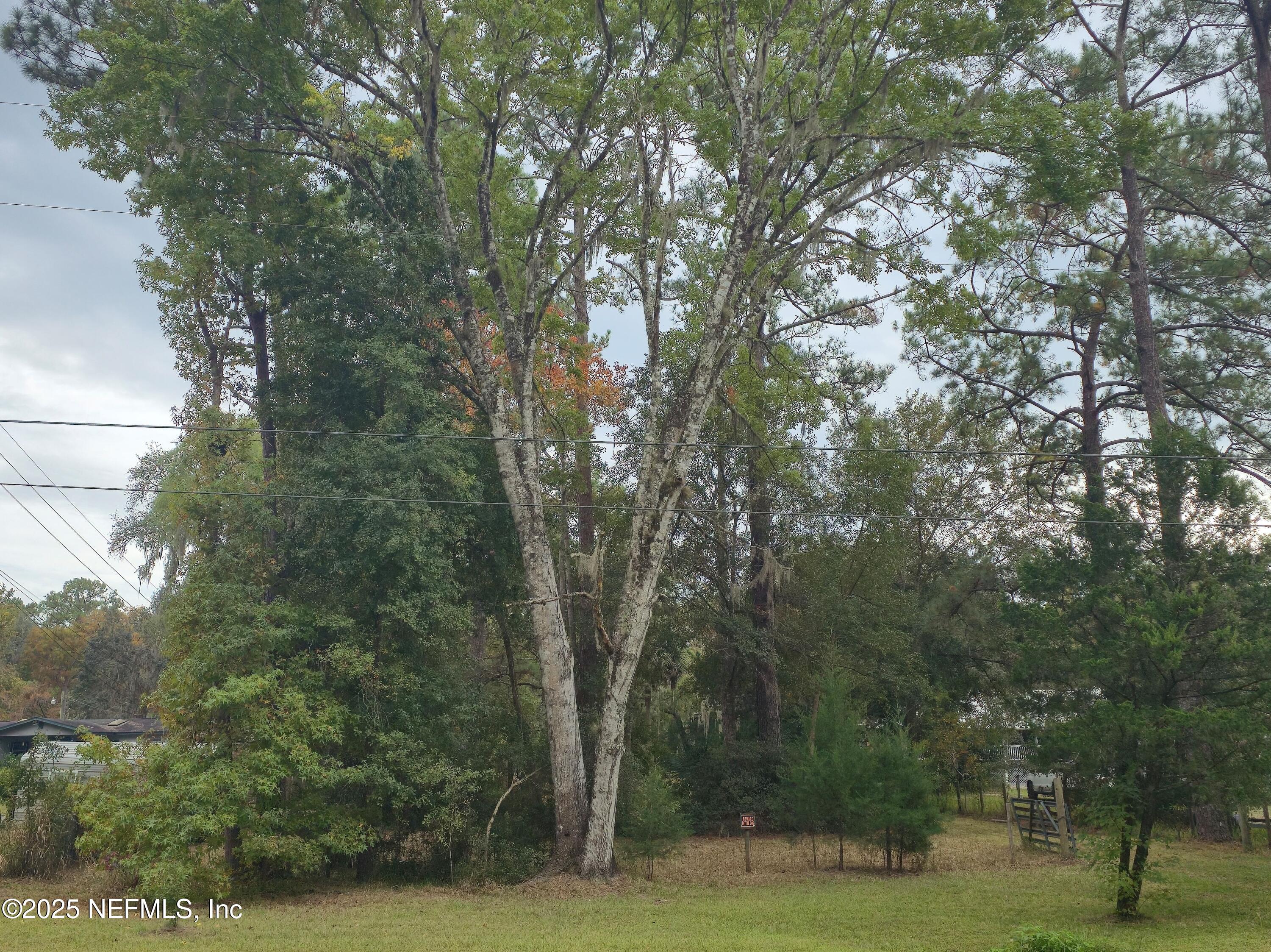 4241 Lazy Acres Road Middleburg, FL 32068 - Photo 4 of 6 20251108_124341