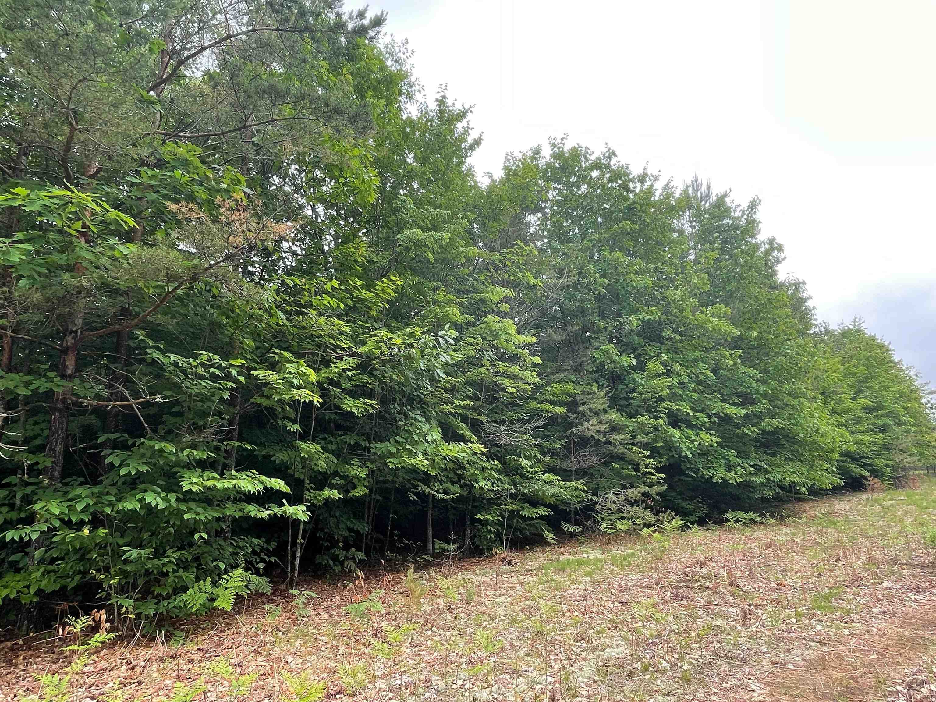 Southwest Montgomery Road Southwest South Boardman, MI 49680 - Photo 1 of 6