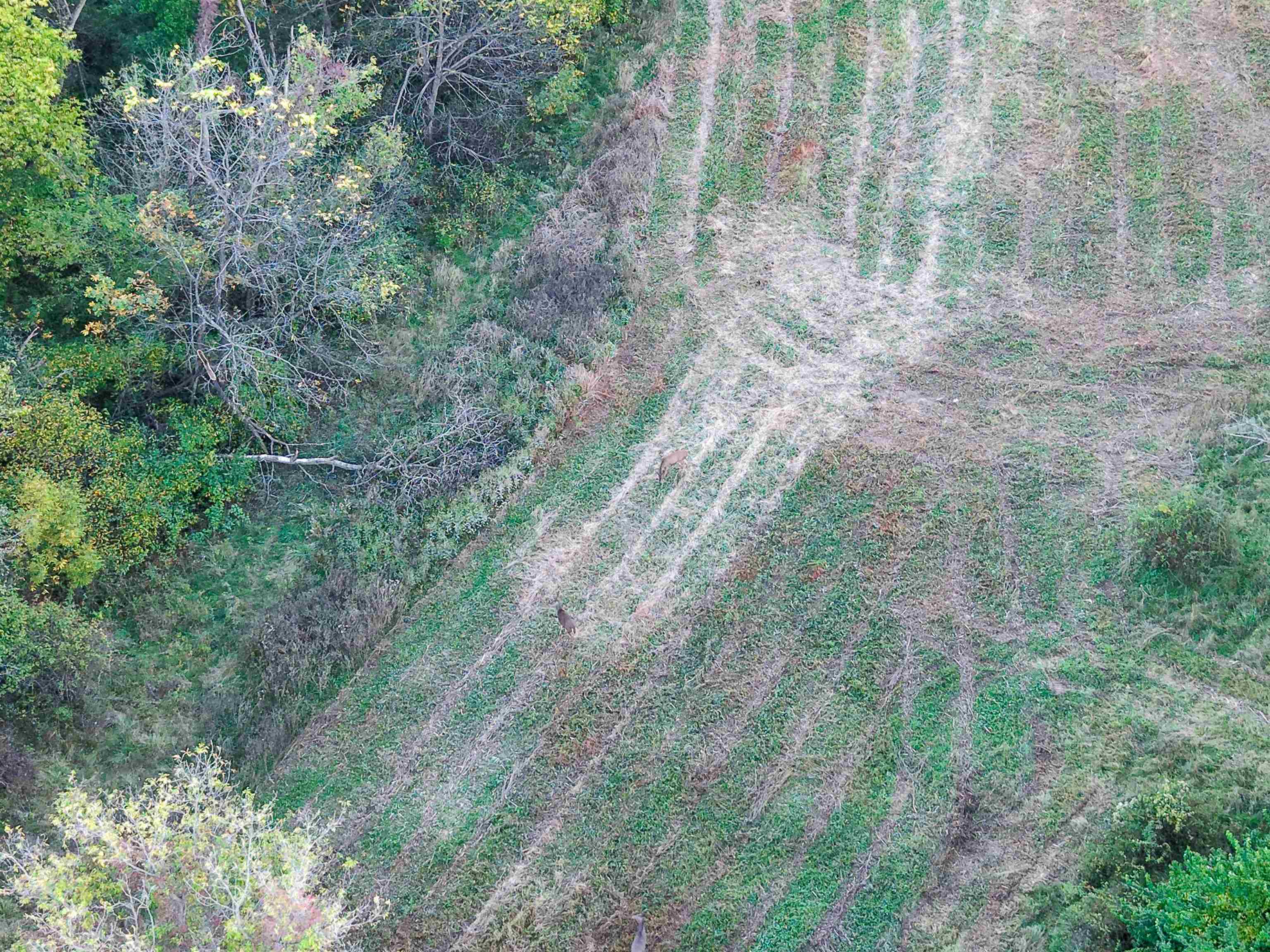 0 Us Highway 18 Prairie du Chien, WI 53821 - Photo 13 of 80